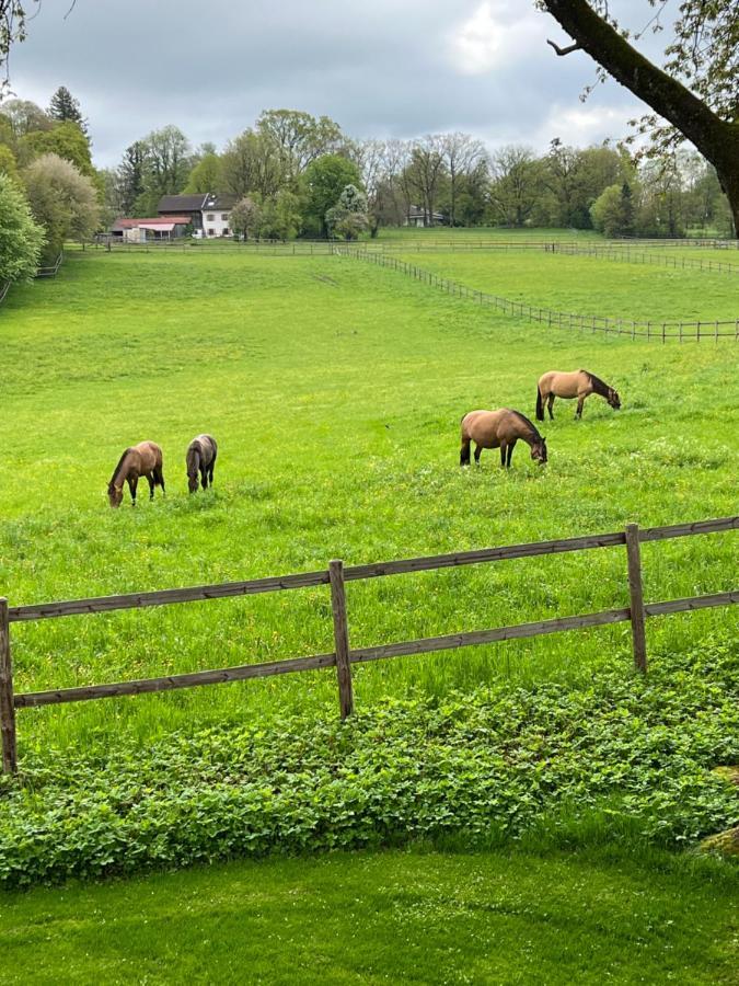 Herrenhaus - Starnberger See - Ammerland Münsing Eksteriør billede