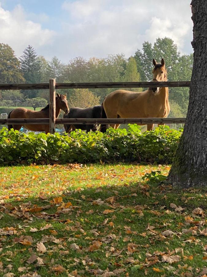 Herrenhaus - Starnberger See - Ammerland Münsing Eksteriør billede