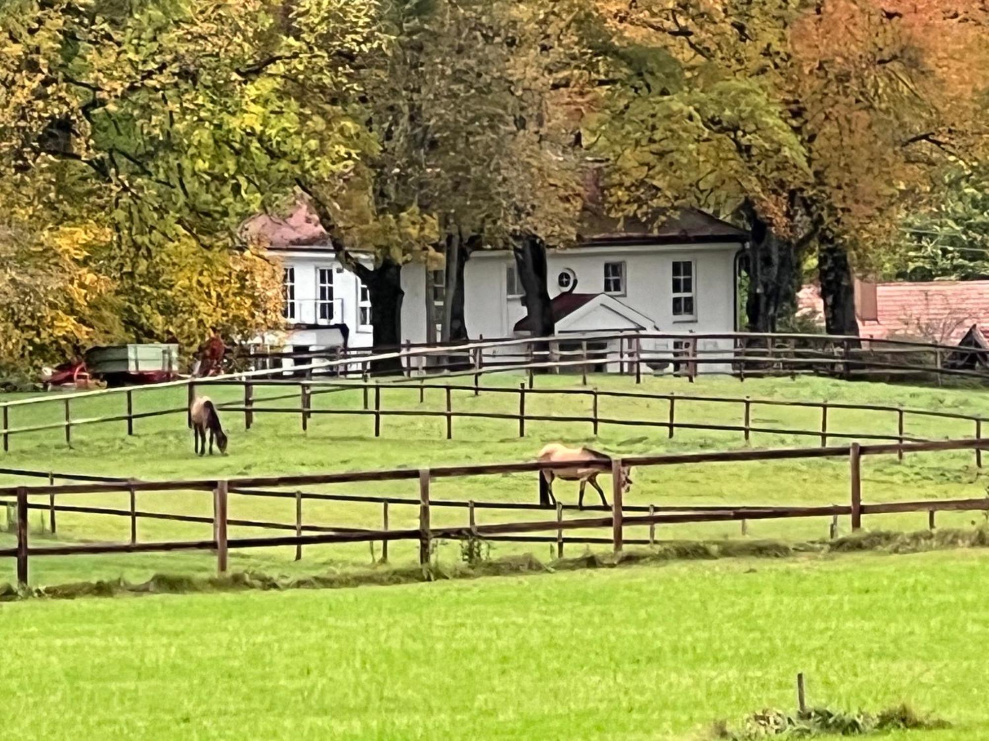 Herrenhaus - Starnberger See - Ammerland Münsing Eksteriør billede