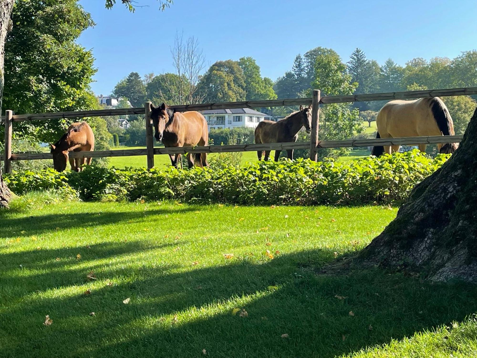 Herrenhaus - Starnberger See - Ammerland Münsing Eksteriør billede